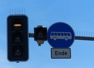 Jakie mogą być preferencje?